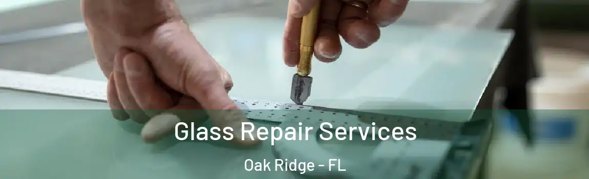  Glass Repair Services Oak Ridge - FL